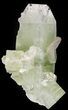 Zoned Apophyllite Crystal with Stilbite - India #44393-1